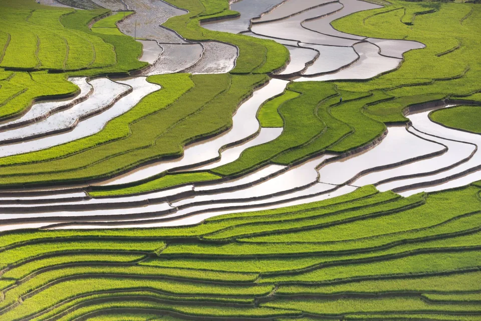 Kho gạo của Huỳnh Đức Long